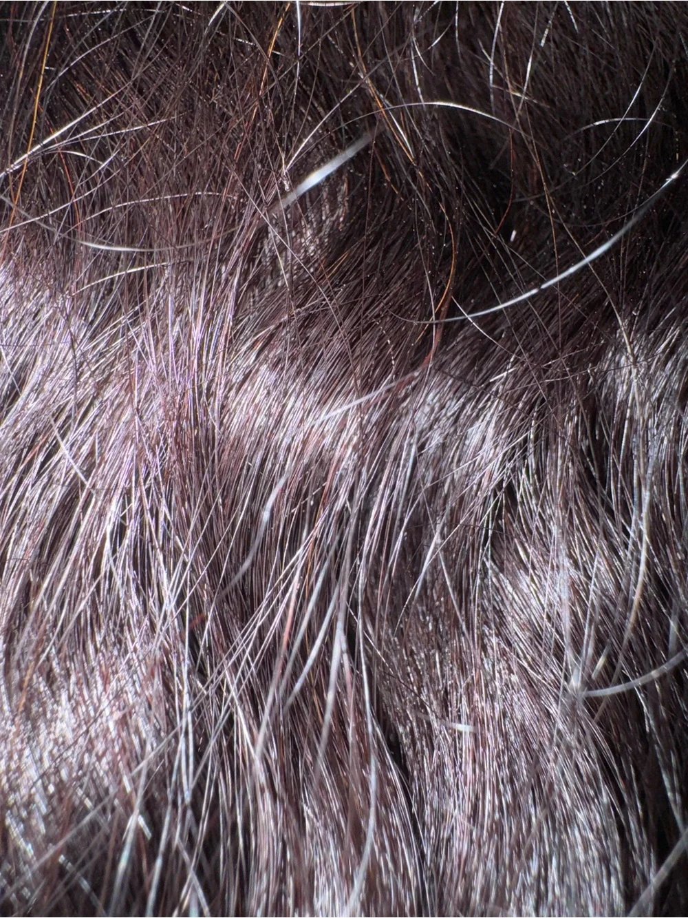 Sensual collection. 100% human hair. Italian wet & wavy.